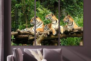 Модульная картина на холсте KIL Art Триптих Семья тигров 156x100 см (M3_XL_246)