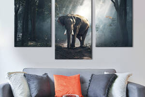 Модульная картина на холсте KIL Art триптих Слон в джунглях 66x40 см (198-32)
