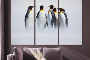 Модульная картина на холсте KIL Art Триптих Стая пингвинов 156x100 см (M3_XL_234)