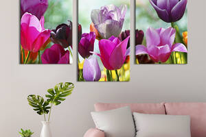 Модульная картина на холсте KIL Art триптих Цветение тюльпанов 96x60 см (224-32)