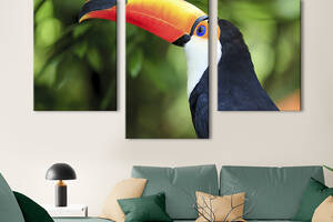 Модульная картина на холсте KIL Art триптих Тукан - птица с большим клювом 96x60 см (128-32)