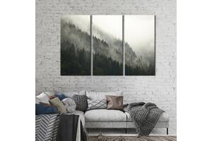 Модульная картина на холсте KIL Art триптих Туманный хвойный лес 78x48 см (572-31)
