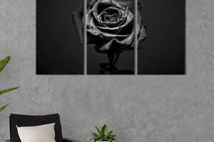 Модульная картина на холсте KIL Art триптих Угольно-чёрная роза 128x81 см (252-31)