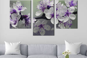 Модульная картина на холсте KIL Art триптих Весенние цветы вишни 96x60 см (214-32)