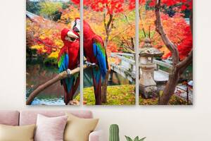 Модульная картина на холсте KIL Art Триптих Влюбленные попугаи 156x100 см (M3_XL_390)