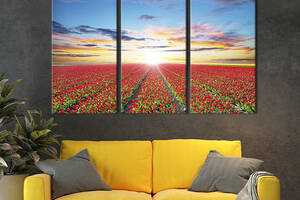 Модульная картина на холсте KIL Art триптих Яркое поле тюльпанов 156x100 см (595-31)