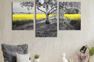 Модульная картина на холсте KIL Art триптих Жёлтые полевые цветы 96x60 см (574-32)
