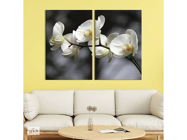 Модульная картина на холсте KIL Art Ветка белоснежной орхидеи 111x81 см (230-2)