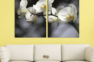 Модульная картина на холсте KIL Art Ветка белоснежной орхидеи 165x122 см (230-2)