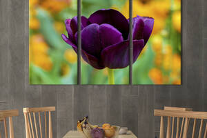 Модульная картина на холсте из 3 частей KIL Art триптих Красивый фиолетовый тюльпан 78x48 см (1003-31)