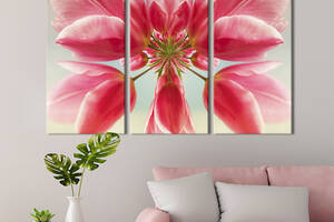 Модульная картина на холсте из 3 частей KIL Art триптих Красивая розовая лилия 128x81 см (1008-31)