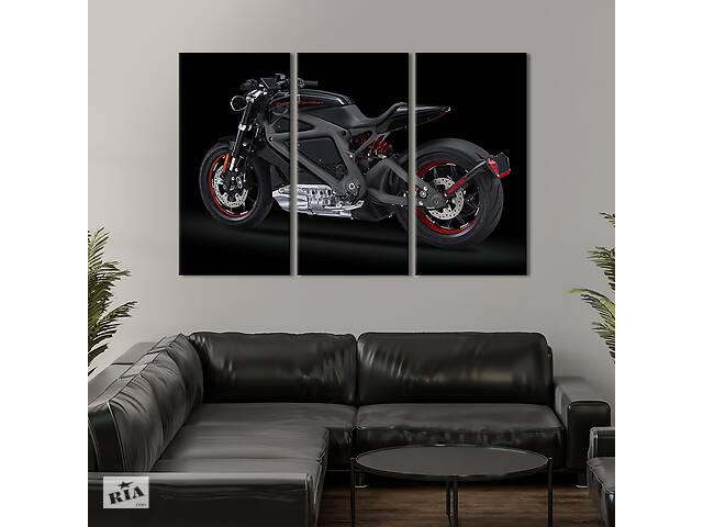 Модульная картина на холсте из 3 частей KIL Art триптих Грациозный мотоцикл Harley-Davidson 78x48 см (1328-31)