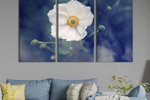 Модульная картина на холсте из 3 частей KIL Art триптих Белые цветы анемоны лесной 78x48 см (772-31)