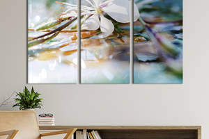 Модульная картина на холсте из 3 частей KIL Art триптих Одинокий белый цветок 78x48 см (782-31)