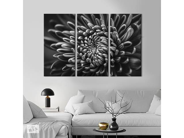 Модульная картина на холсте из 3 частей KIL Art триптих Бутон чёрно-белой хризантемы 78x48 см (791-31)