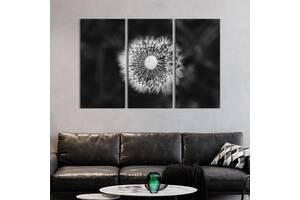 Модульная картина на холсте из 3 частей KIL Art триптих Белый одуванчик на чёрном фоне 156x100 см (800-31)