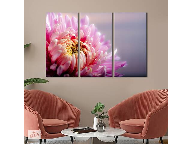 Модульная картина на холсте из 3 частей KIL Art триптих Ароматная розовая хризантема 78x48 см (812-31)
