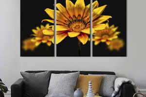 Модульная картина на холсте из 3 частей KIL Art триптих Жёлтые цветы на чёрном фоне 128x81 см (831-31)