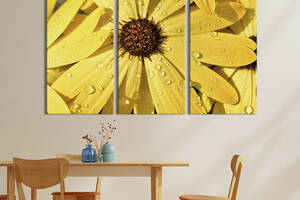 Модульная картина на холсте из 3 частей KIL Art триптих Жёлтая ромашка в росе 156x100 см (836-31)