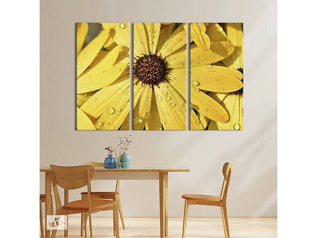 Модульная картина на холсте из 3 частей KIL Art триптих Жёлтая ромашка в росе 156x100 см (836-31)
