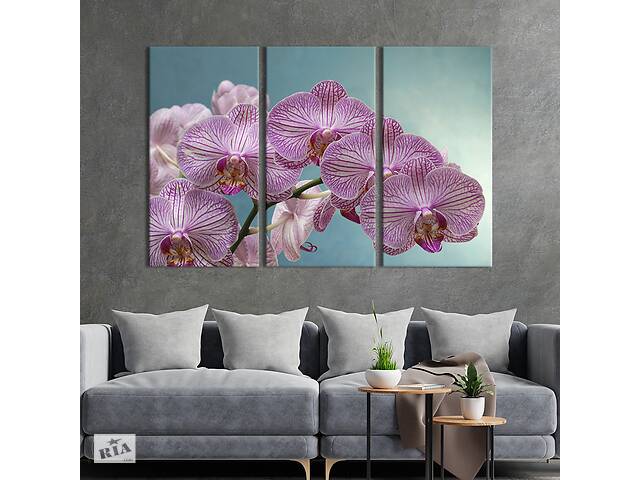 Модульная картина на холсте из 3 частей KIL Art триптих Чудная мраморная орхидея 156x100 см (902-31)