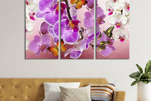 Модульная картина на холсте из 3 частей KIL Art триптих Бабочки среди орхидей 78x48 см (903-31)