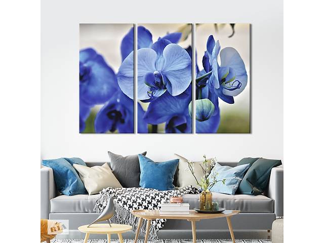 Модульная картина на холсте из 3 частей KIL Art триптих Редкая синяя орхидея 128x81 см (904-31)