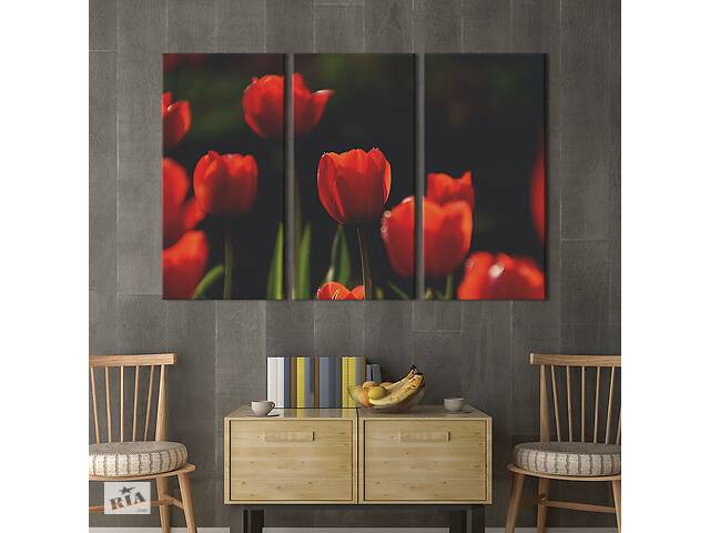 Модульная картина на холсте из 3 частей KIL Art триптих Роскошные красные тюльпаны 78x48 см (908-31)