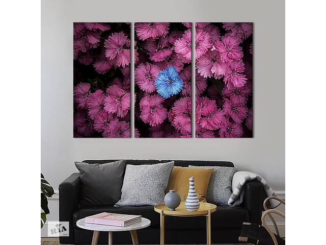 Модульная картина на холсте из 3 частей KIL Art триптих Красивые розовые васильки 128x81 см (909-31)