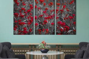 Модульная картина на холсте из 3 частей KIL Art триптих Пушистые красные цветы 156x100 см (922-31)