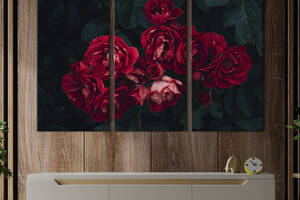 Модульная картина на холсте из 3 частей KIL Art триптих Душистые красные розы 78x48 см (924-31)