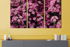 Модульная картина на холсте из 3 частей KIL Art триптих Милые розовые цветы флоксы 78x48 см (925-31)