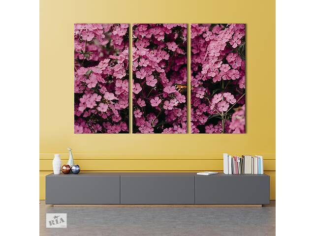 Модульная картина на холсте из 3 частей KIL Art триптих Милые розовые цветы флоксы 156x100 см (925-31)