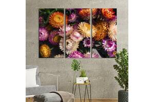 Модульная картина на холсте из 3 частей KIL Art триптих Прекрасные цветы сухоцветы 128x81 см (928-31)