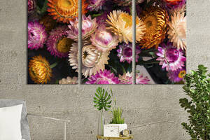 Модульная картина на холсте из 3 частей KIL Art триптих Прекрасные цветы сухоцветы 78x48 см (928-31)
