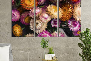 Модульная картина на холсте из 3 частей KIL Art триптих Прекрасные цветы сухоцветы 156x100 см (928-31)