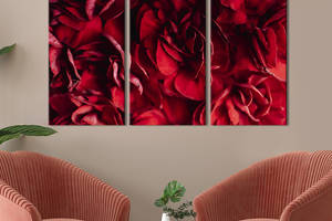 Модульная картина на холсте из 3 частей KIL Art триптих Лепестки прекрасных роз 128x81 см (930-31)