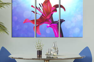 Модульная картина на холсте из 3 частей KIL Art триптих Цветок лилии 128x81 см (954-31)