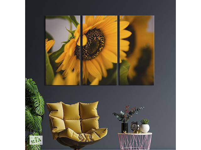 Модульная картина на холсте из 3 частей KIL Art триптих Красивый цветок подсолнуха 156x100 см (961-31)