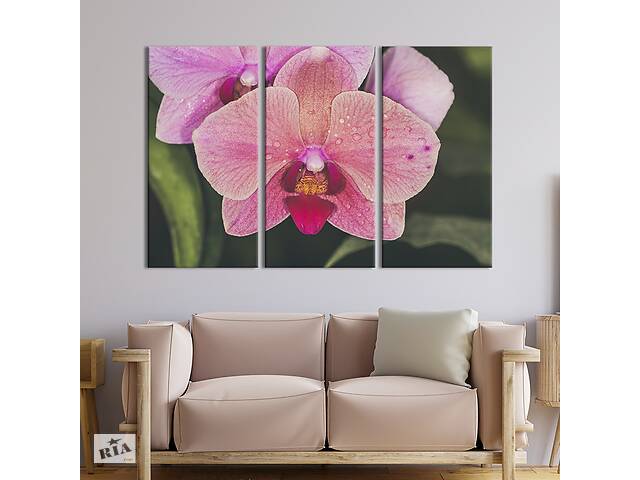Модульная картина на холсте из 3 частей KIL Art триптих Мраморный цветок орхидеи 156x100 см (965-31)