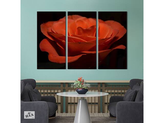 Модульная картина на холсте из 3 частей KIL Art триптих Нежная оранжевая роза 78x48 см (974-31)