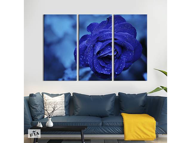 Модульная картина на холсте из 3 частей KIL Art триптих Роскошная синяя роза 78x48 см (975-31)