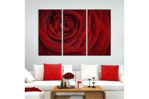 Модульная картина на холсте из 3 частей KIL Art триптих Блестящая роса на лепестках розы 128x81 см (976-31)