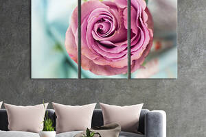 Модульная картина на холсте из 3 частей KIL Art триптих Благородная розовая роза 156x100 см (980-31)