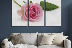 Модульная картина на холсте из 3 частей KIL Art триптих Розовая роза на белом снегу 156x100 см (981-31)