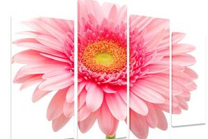 Модульна картина на полотні із чотирьох частин KIL Art Квіти Рожева гербера 129x90 см (M4_L_287)