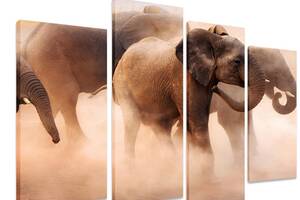 Модульна картина на полотні із чотирьох частин KIL Art Тварини Зграя слонів 129x90 см (M4_L_297)