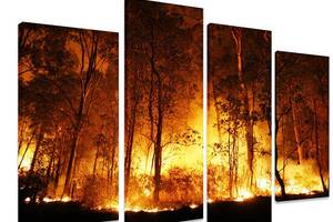 Модульна картина на полотні із чотирьох частин KIL Art Природа Лісова пожежа 129x90 см (M4_L_302)