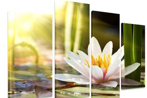 Модульна картина на полотні із чотирьох частин KIL Art Квітка Вишуканий лотос 129x90 см (M4_L_333)