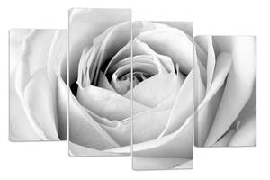 Модульная картина на холсте из четырех частей KIL Art Роза Бутон розы 129x90 см (M4_L_361)